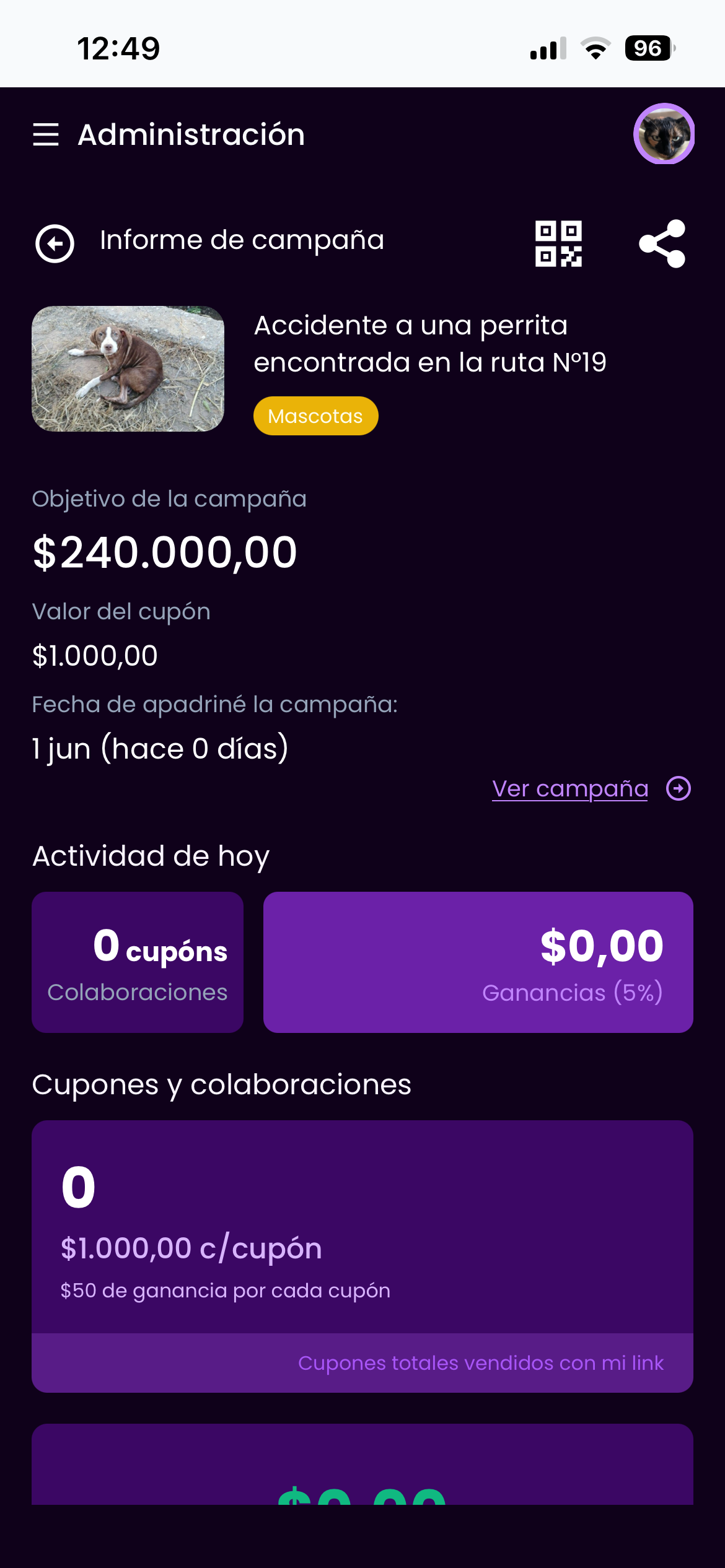 Fondos recaudados y ganancias del embajador — vista 3